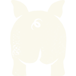 A white pig is standing up against the black background.